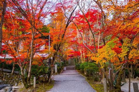 神峰山寺|神峯山寺